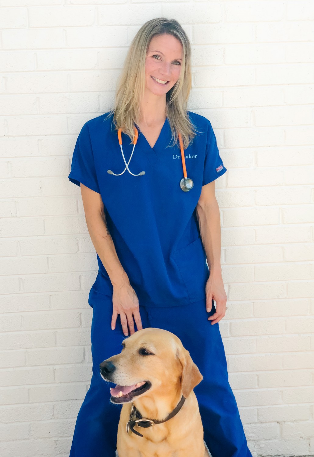 Meredith Barker DVM, CVA, CVCHM -  Great Paws Mobile Veterinary Service - Great Falls, VA