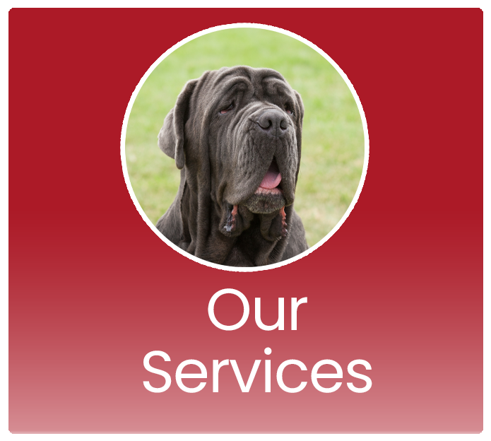 Our Services - Great Paws Mobile Veterinary Service - Great Falls, VA