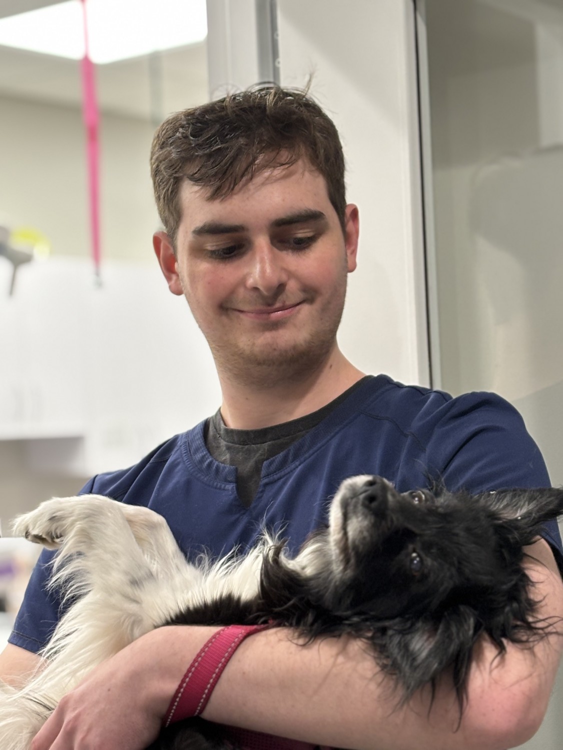 Great Paws Veterinary Staff - Grant